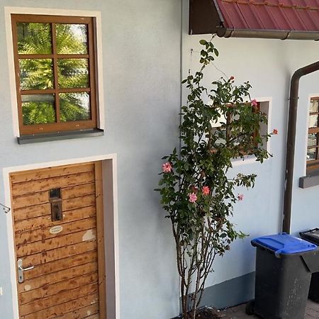 Ferienwohnung Im Bueckle Gottenheim Exterior foto